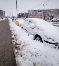 Всички пътища в община Хасково са проходими при зимни условия